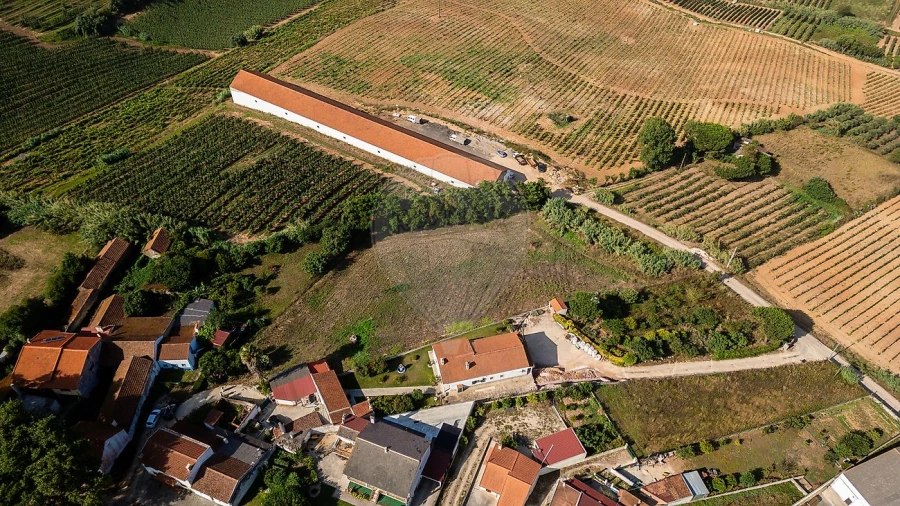 Terreno para Venda em A dos Francos Foto 3