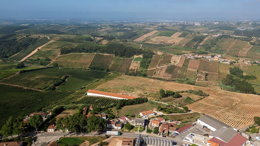 Terreno para Venda em A dos Francos Foto 4