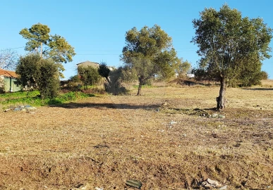 Terreno para Venda em Trouxemil e Torre de Vilela