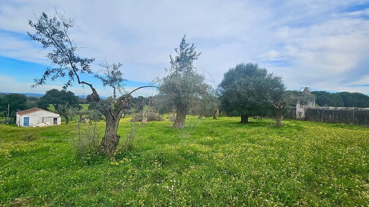 Quinta T3 para Venda em Malagueira e Horta das Figueiras Foto 12