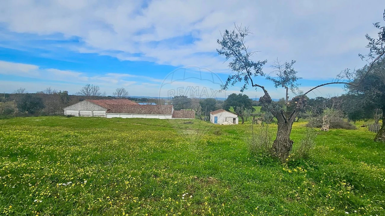 Quinta T3 para Venda em Malagueira e Horta das Figueiras Foto 19