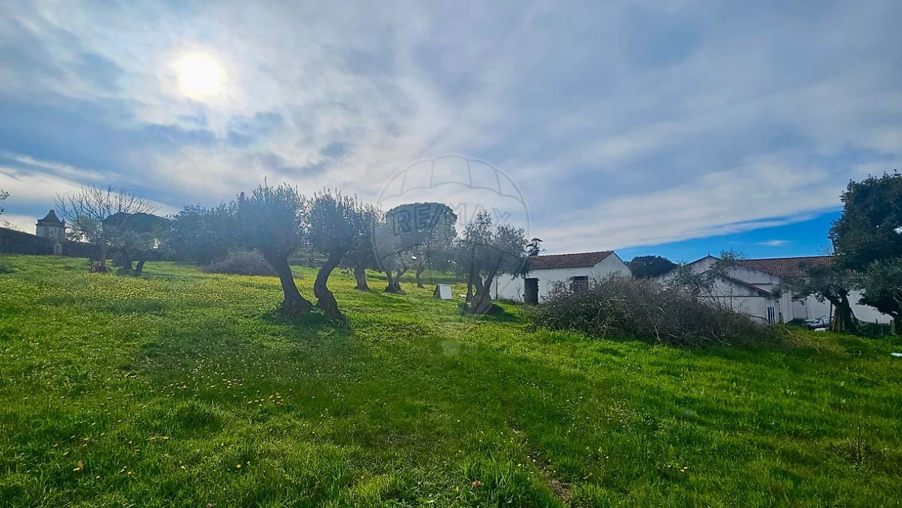 Quinta T3 para Venda em Malagueira e Horta das Figueiras Foto 31