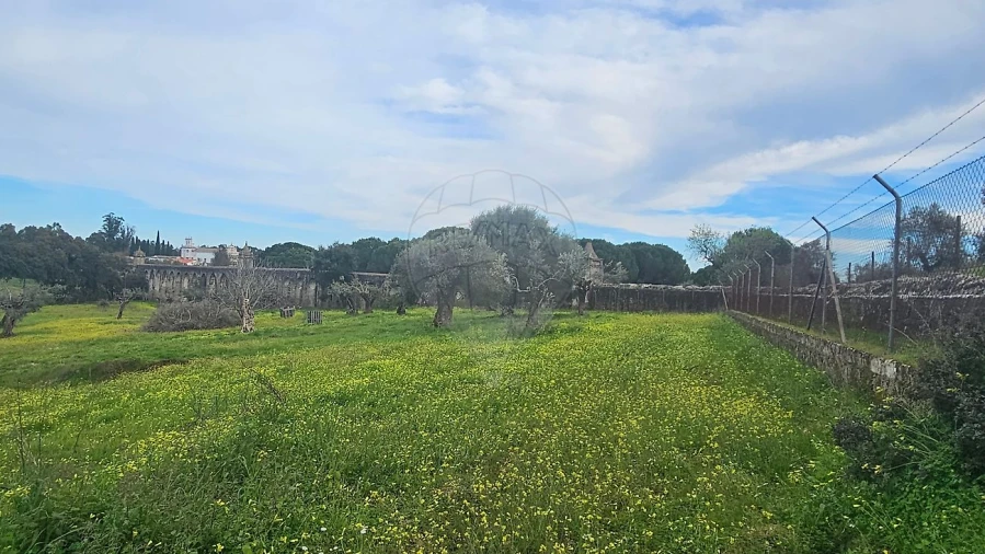 Quinta T3 para Venda em Malagueira e Horta das Figueiras Foto 34