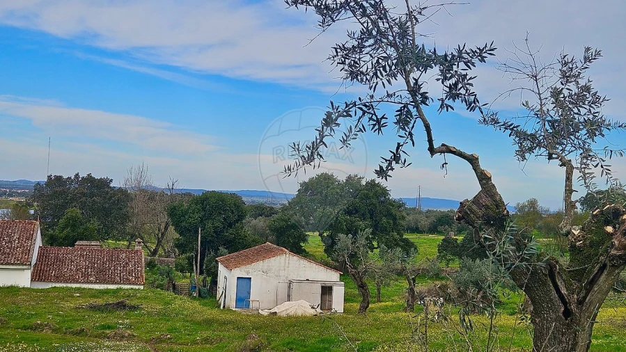 Quinta T3 para Venda em Malagueira e Horta das Figueiras Foto 23
