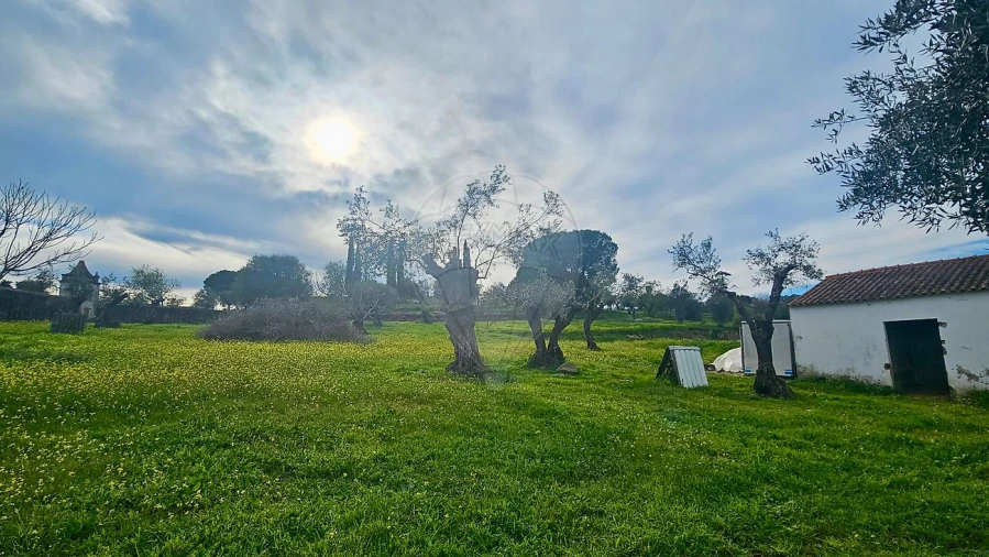 Quinta T3 para Venda em Malagueira e Horta das Figueiras Foto 14