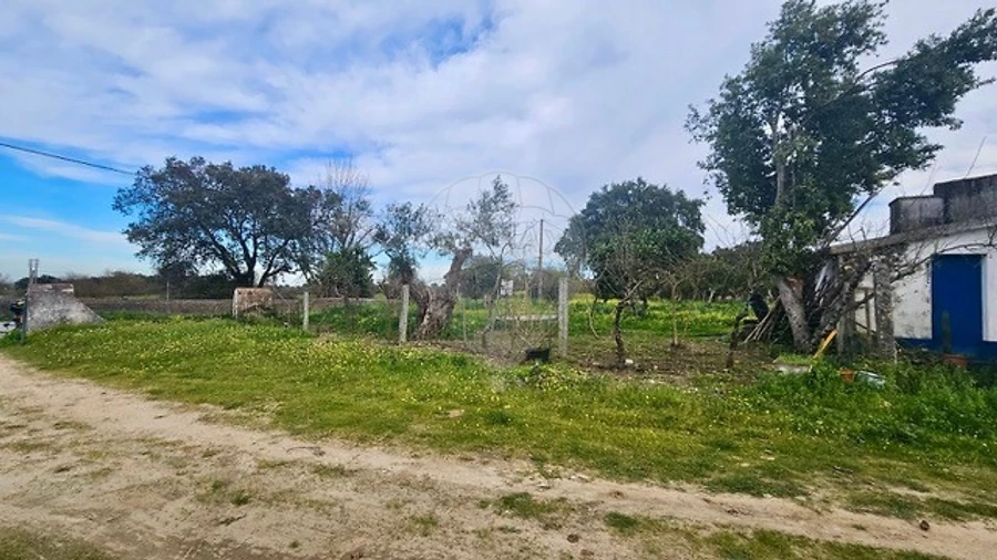 Quinta T3 para Venda em Malagueira e Horta das Figueiras Foto 8