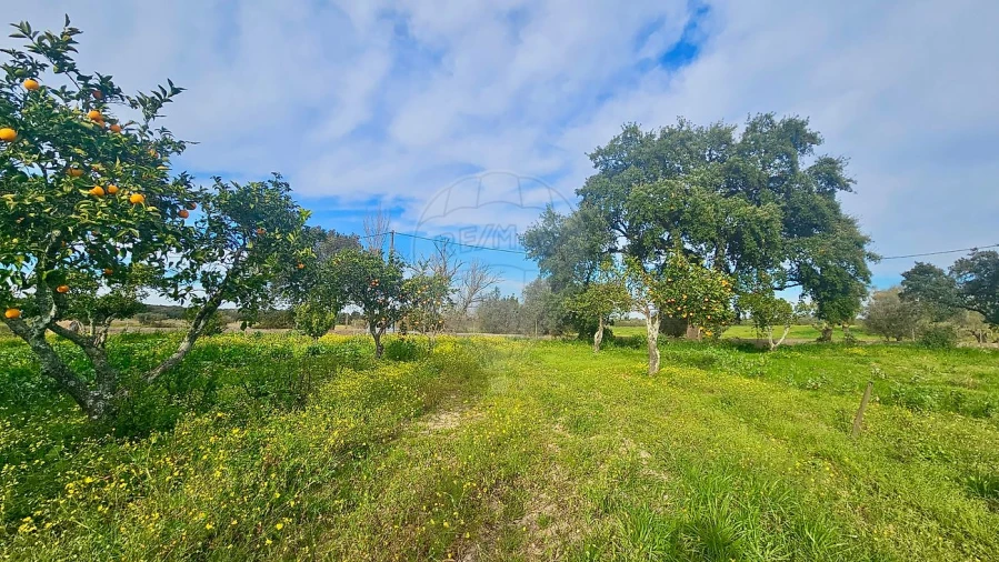 Quinta T3 para Venda em Malagueira e Horta das Figueiras Foto 11