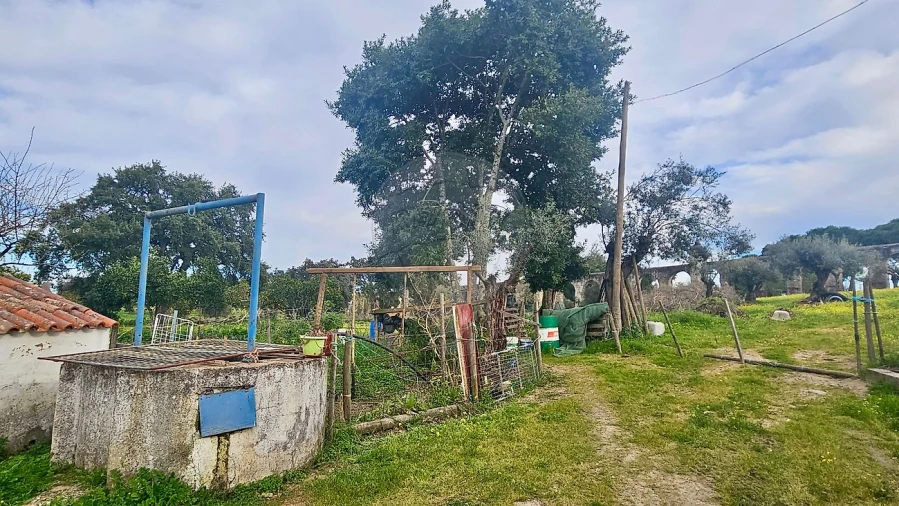 Quinta T3 para Venda em Malagueira e Horta das Figueiras Foto 33