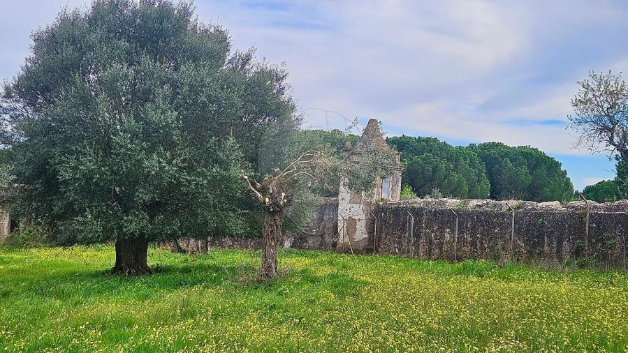 Quinta T3 para Venda em Malagueira e Horta das Figueiras Foto 18