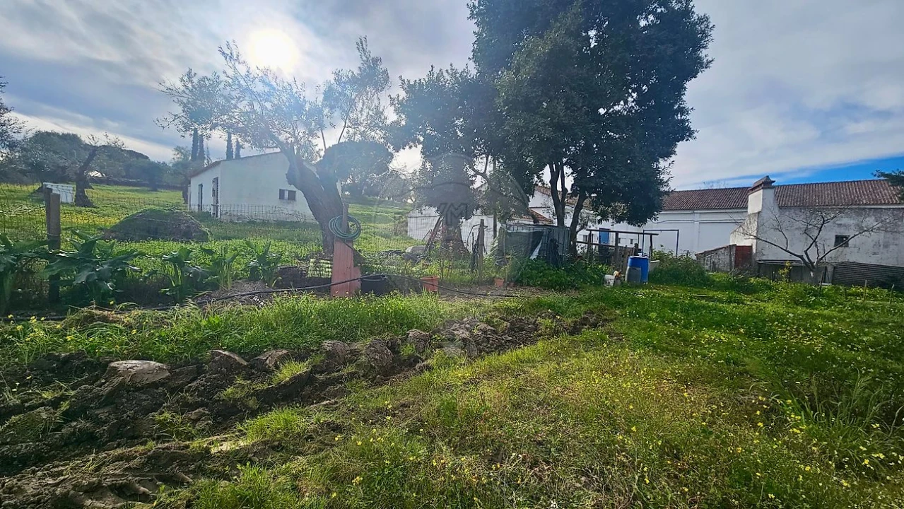 Quinta T3 para Venda em Malagueira e Horta das Figueiras Foto 9