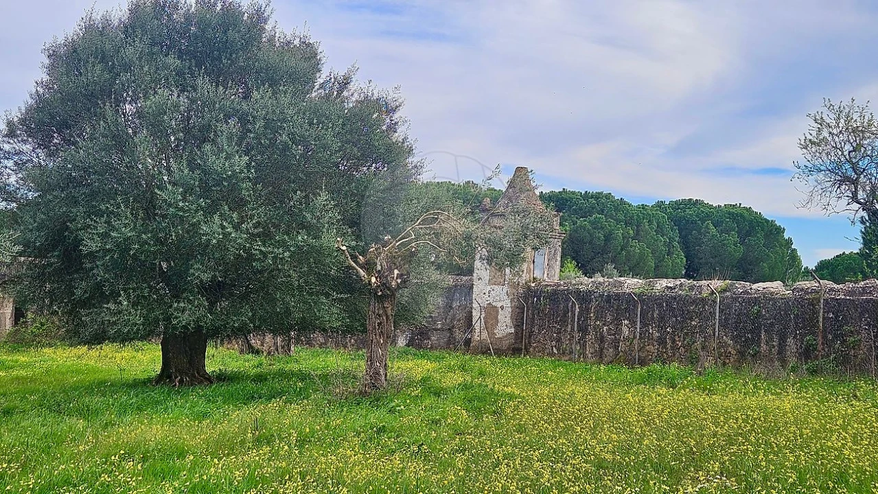 Quinta T3 para Venda em Malagueira e Horta das Figueiras Foto 18
