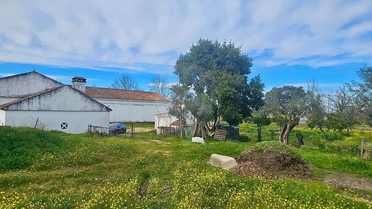 Quinta T3 para Venda em Malagueira e Horta das Figueiras Foto 35