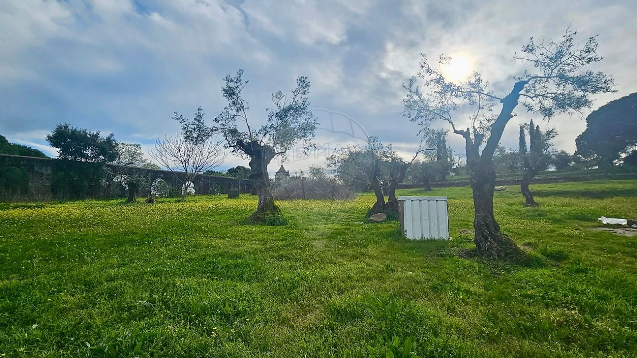 Quinta T3 para Venda em Malagueira e Horta das Figueiras Foto 13