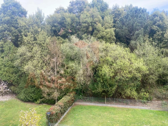 Apartamento T2 para Venda em Vila Nova da Telha Foto 8