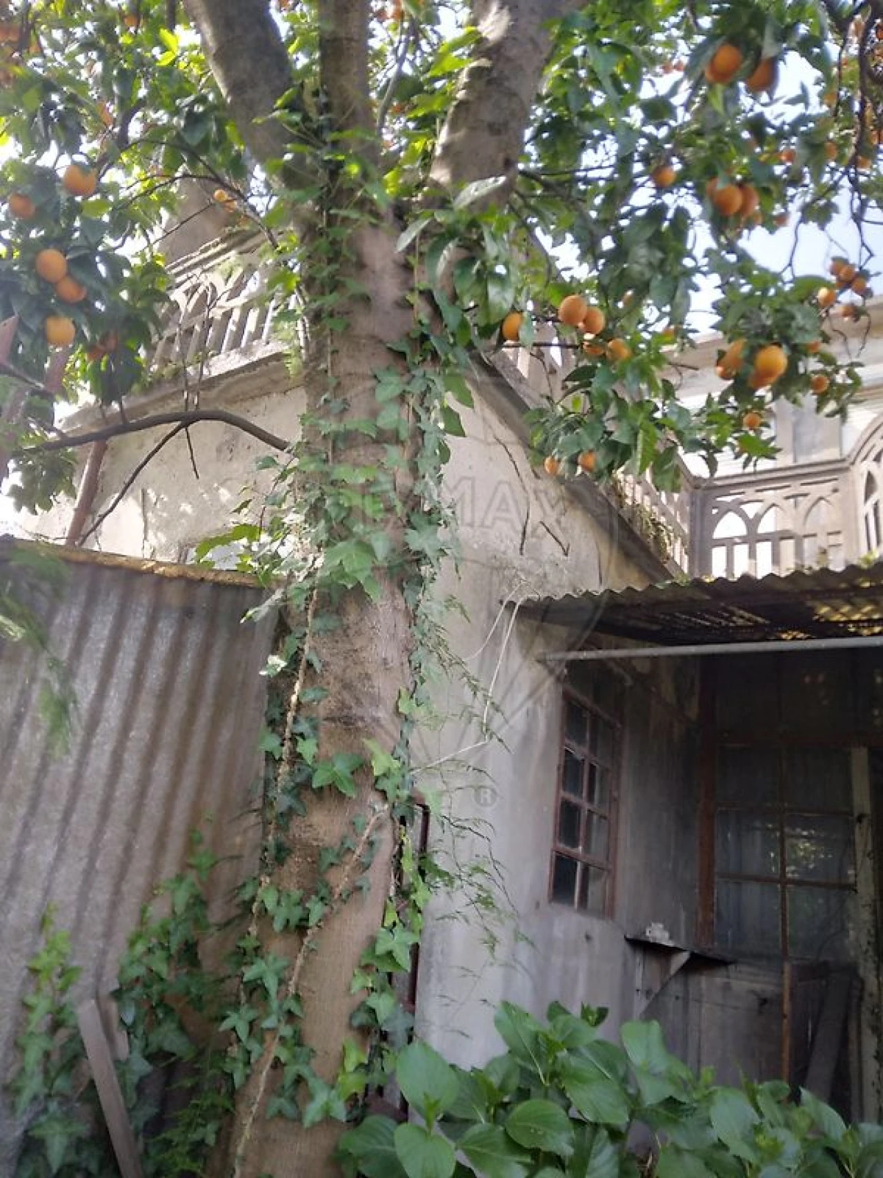 Moradia T11 para Venda em Campanhã Foto 47