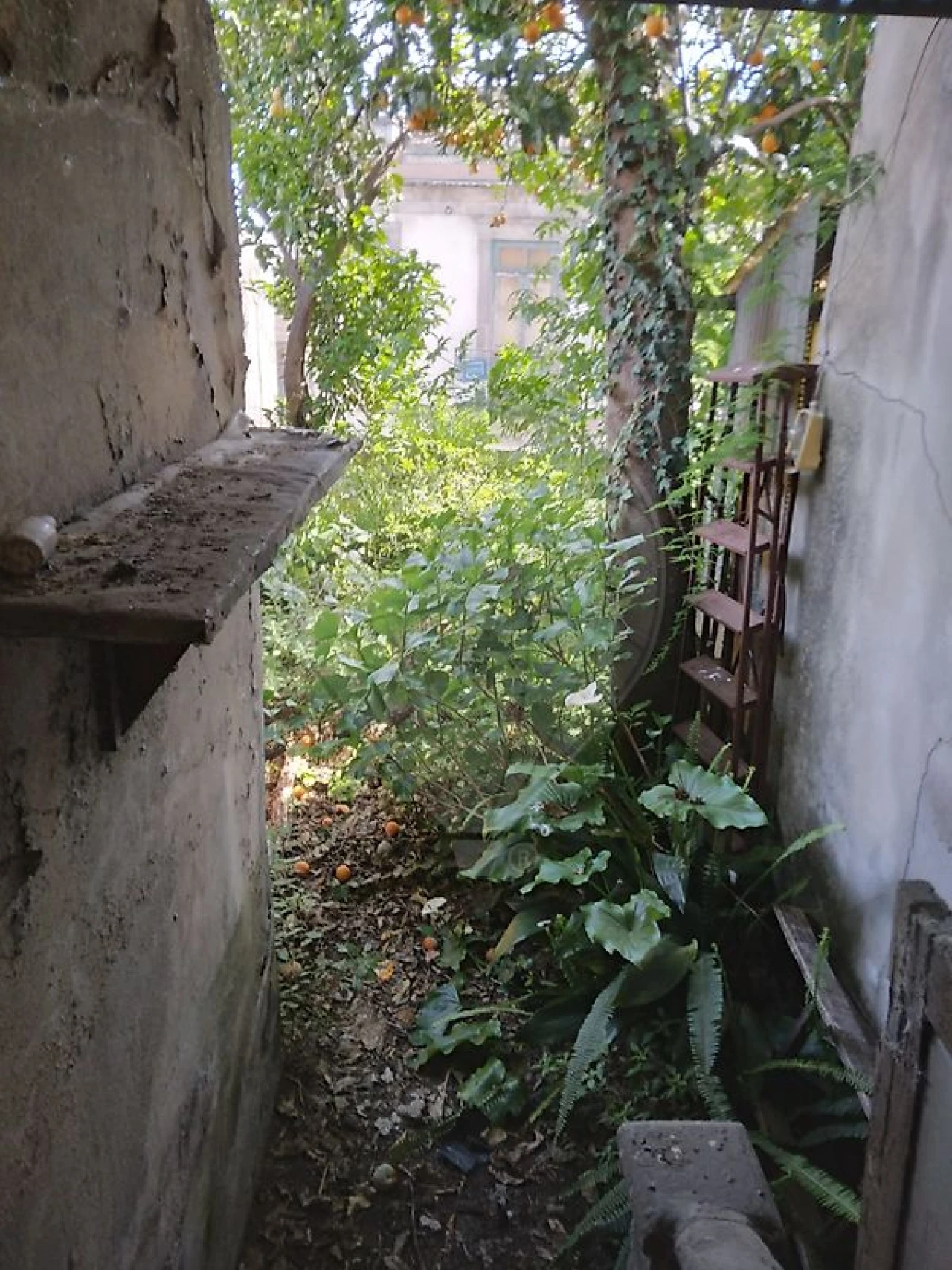 Moradia T11 para Venda em Campanhã Foto 36