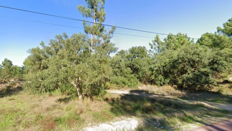 Terreno Agricola ou Rústico para Venda em Salvaterra de Magos e Foros de Salvaterra