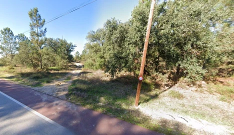 Terreno Agricola ou Rústico para Venda em Salvaterra de Magos e Foros de Salvaterra