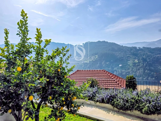 Moradia T3 para Venda em Ancede e Ribadouro Foto 38