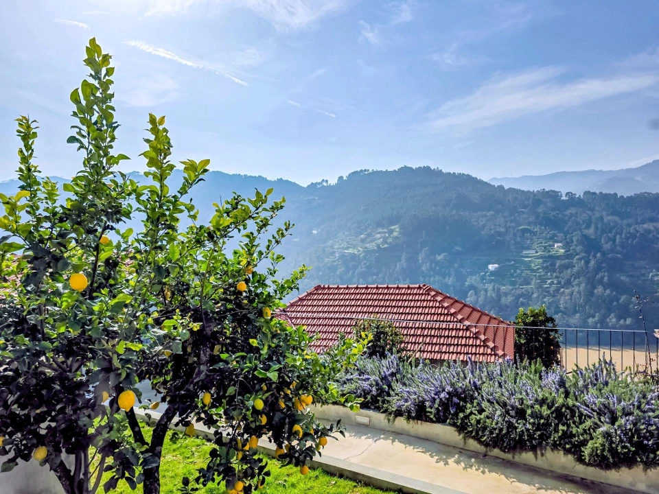 Moradia T3 para Venda em Ancede e Ribadouro Foto 38