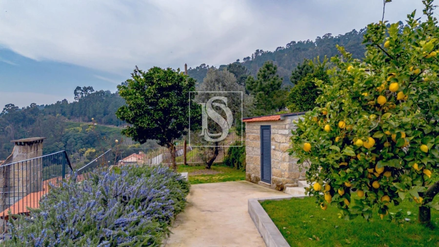 Moradia T3 para Venda em Ancede e Ribadouro Foto 30