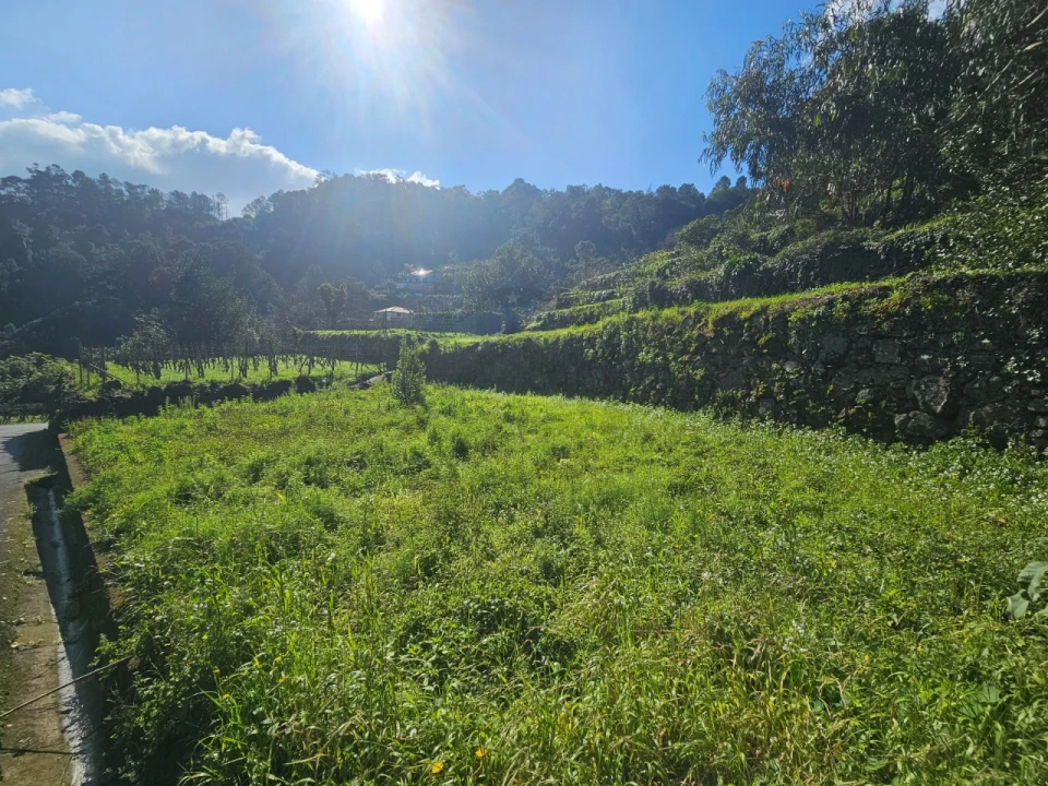 Terreno Agricola ou Rústico para Venda em São Vicente Foto 8