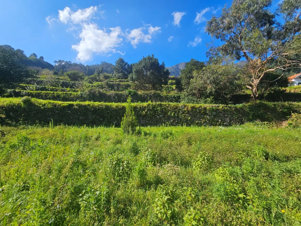 Terreno Agricola ou Rústico para Venda em São Vicente Foto 9