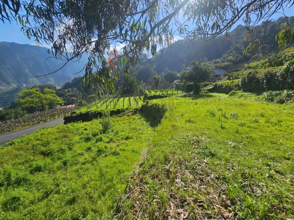 Terreno Agricola ou Rústico para Venda em São Vicente Foto 10