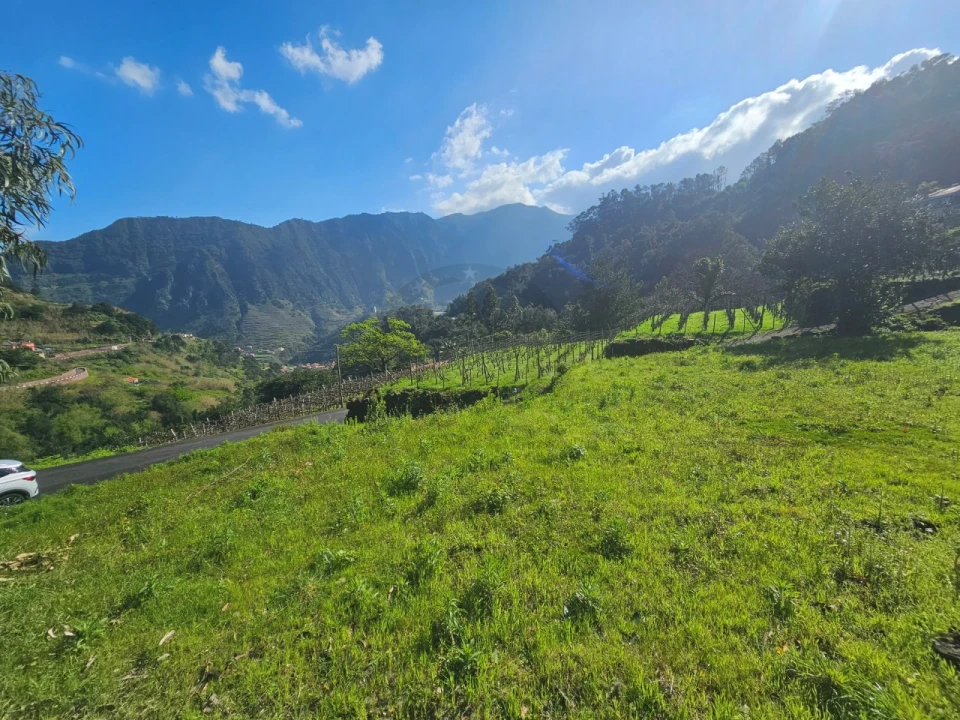 Terreno Agricola ou Rústico para Venda em São Vicente Foto 11