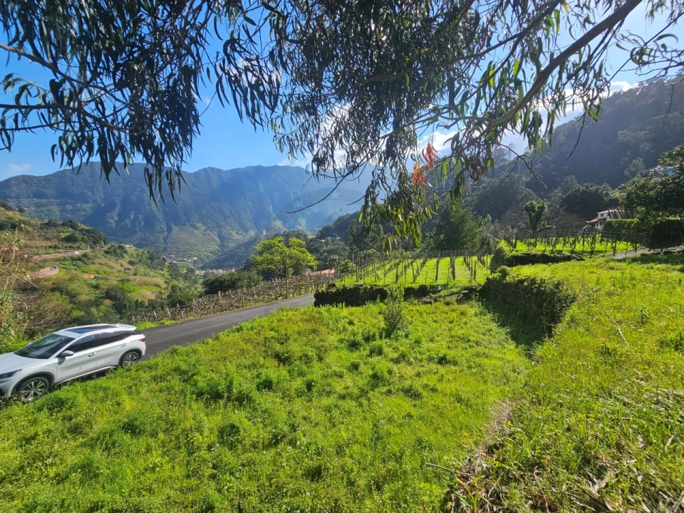 Terreno Agricola ou Rústico para Venda em São Vicente Foto 12