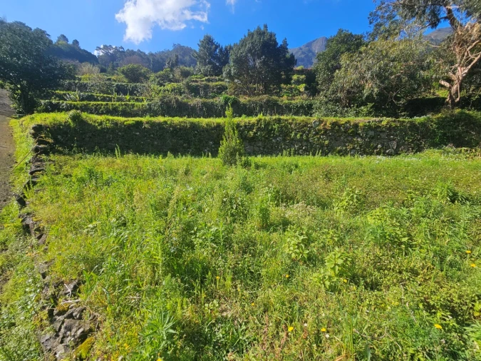 Terreno Agricola ou Rústico para Venda em São Vicente Foto 5