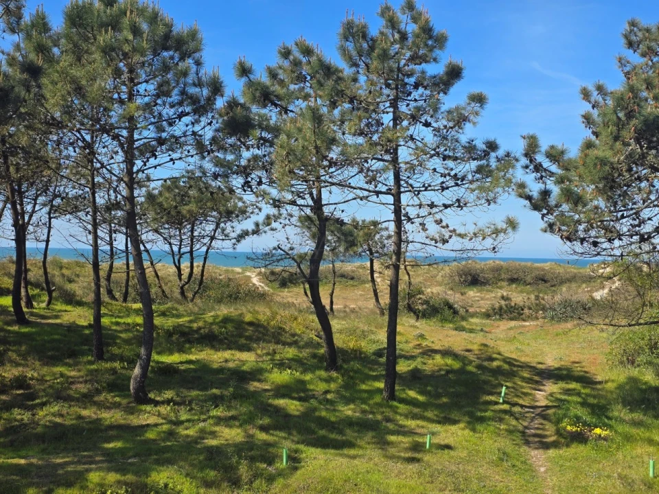 Moradia T4 para Venda em Esposende, Marinhas e Gandra Foto 20