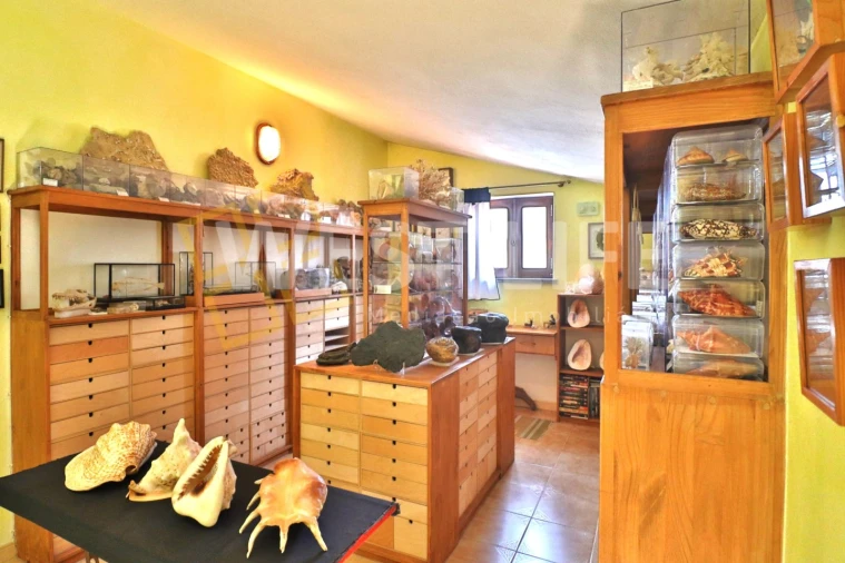 Moradia T4 para Venda em Silveira Foto 20