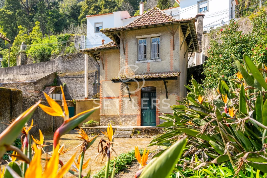 Moradia T53 para Venda em Santa Maria e São Miguel, São Martinho, São Pedro Penaferrim Foto 23