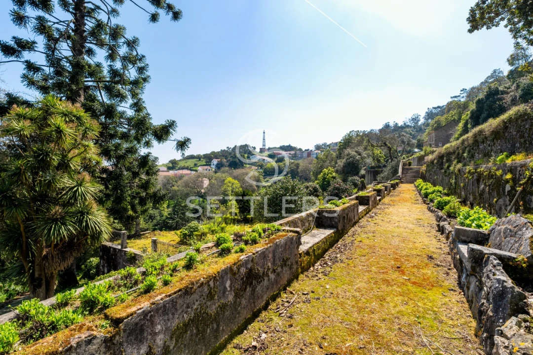 Moradia T53 para Venda em Santa Maria e São Miguel, São Martinho, São Pedro Penaferrim Foto 32