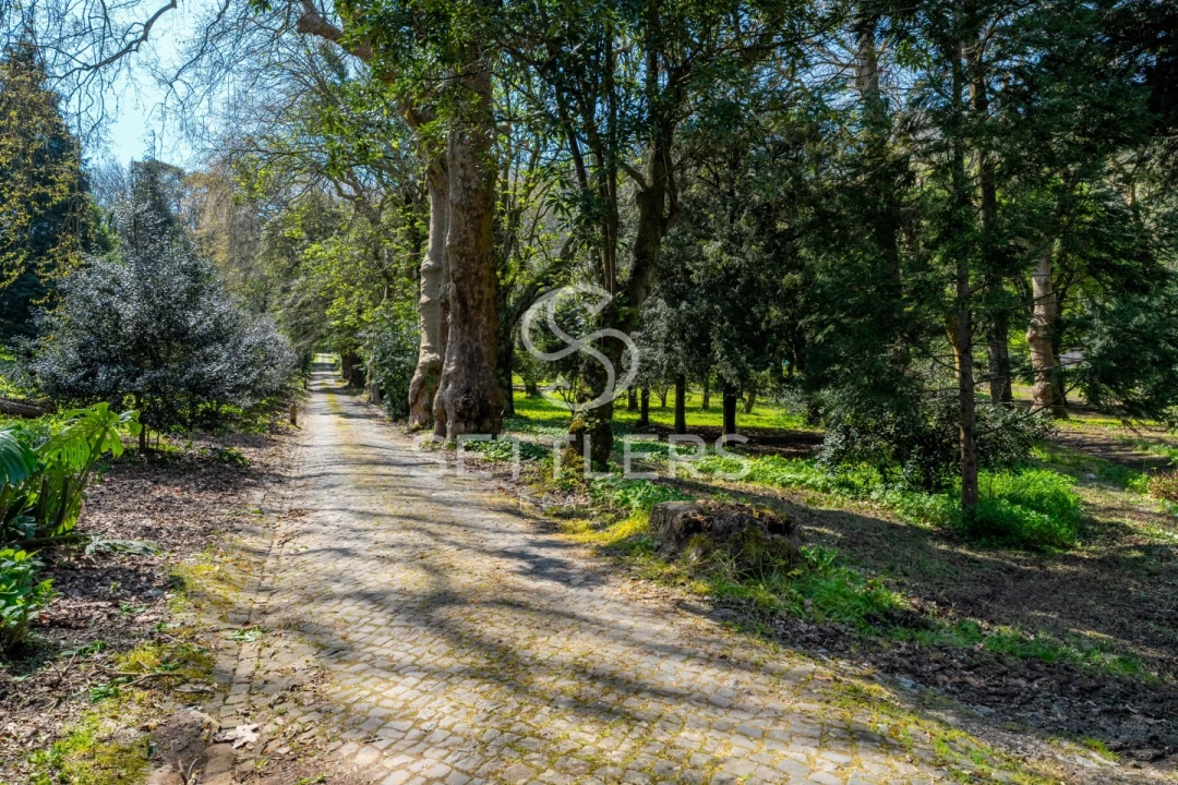 Moradia T53 para Venda em Santa Maria e São Miguel, São Martinho, São Pedro Penaferrim Foto 34