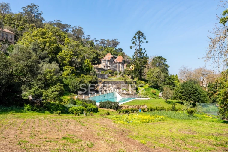 Moradia T53 para Venda em Santa Maria e São Miguel, São Martinho, São Pedro Penaferrim Foto 31