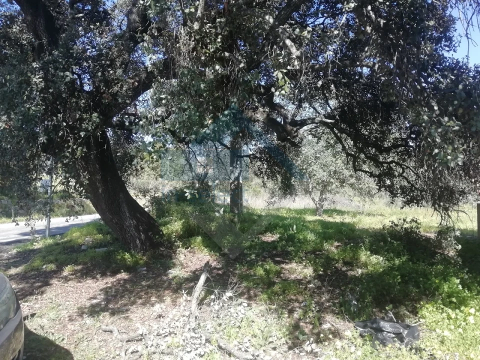 Moradia T3 para Venda em Conceição e Estoi Foto 3