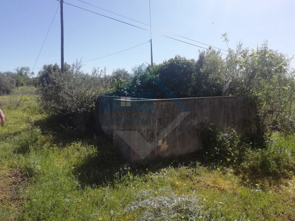 Moradia T3 para Venda em Conceição e Estoi Foto 4