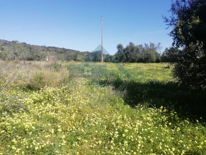 Moradia T3 para Venda em Conceição e Estoi Foto 11