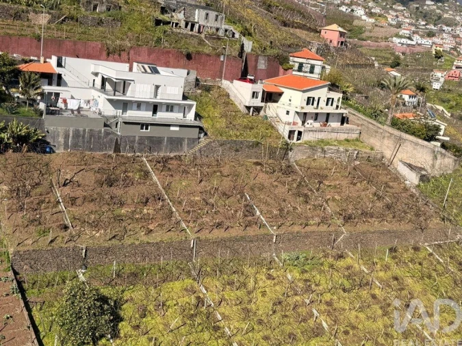 Terreno para Venda em Estreito de Camara de Lobos Foto 2