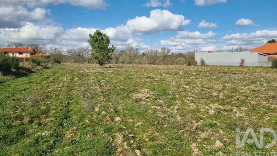 Terreno para Venda em Pera do Moço Foto 14