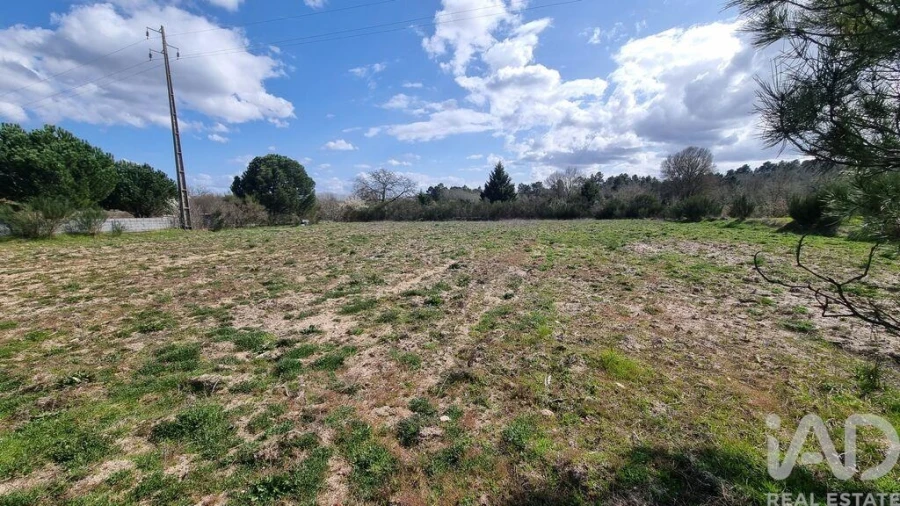 Terreno para Venda em Pera do Moço Foto 12