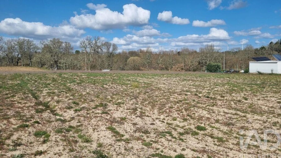 Terreno para Venda em Pera do Moço Foto 11