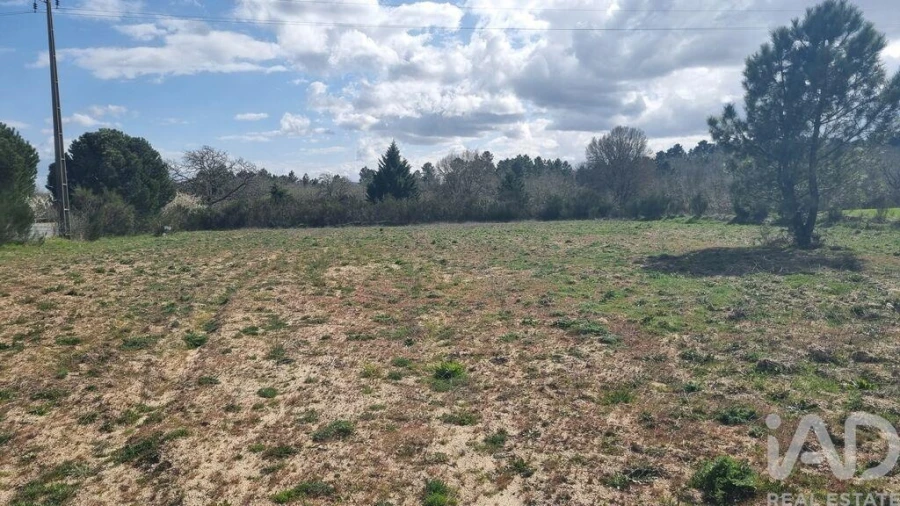 Terreno para Venda em Pera do Moço Foto 9