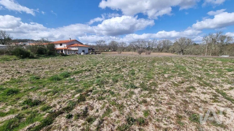 Terreno para Venda em Pera do Moço Foto 7