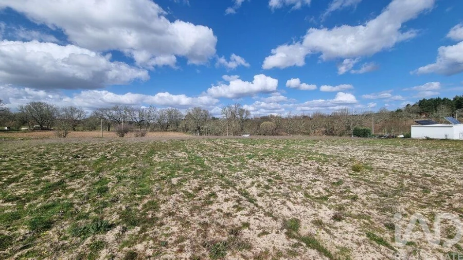 Terreno para Venda em Pera do Moço Foto 1