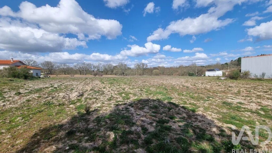 Terreno para Venda em Pera do Moço Foto 13