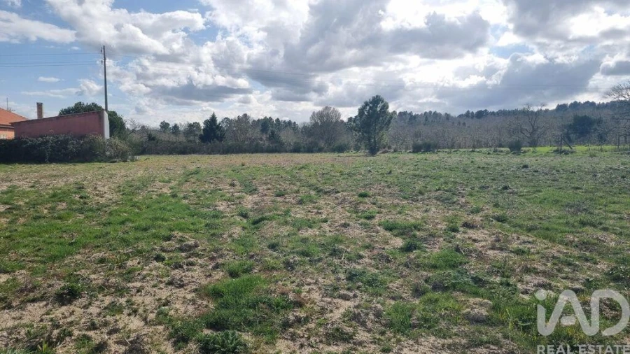 Terreno para Venda em Pera do Moço Foto 8