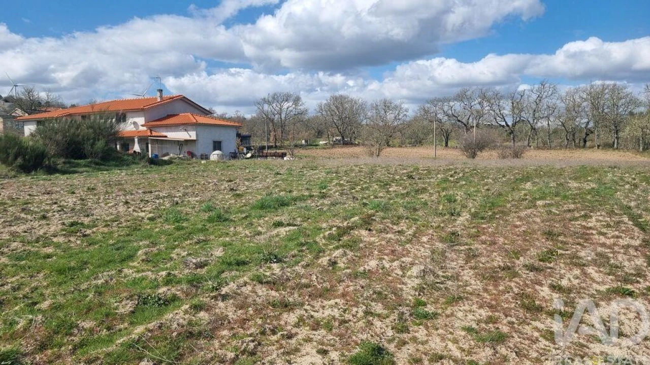 Terreno para Venda em Pera do Moço Foto 10